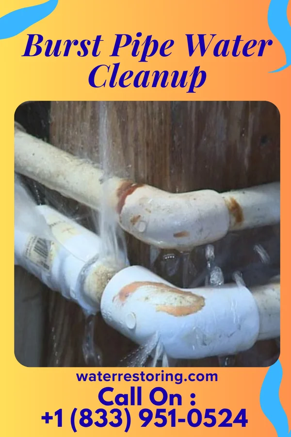 Burst Pipe Water Cleanup in Greenfields, PA