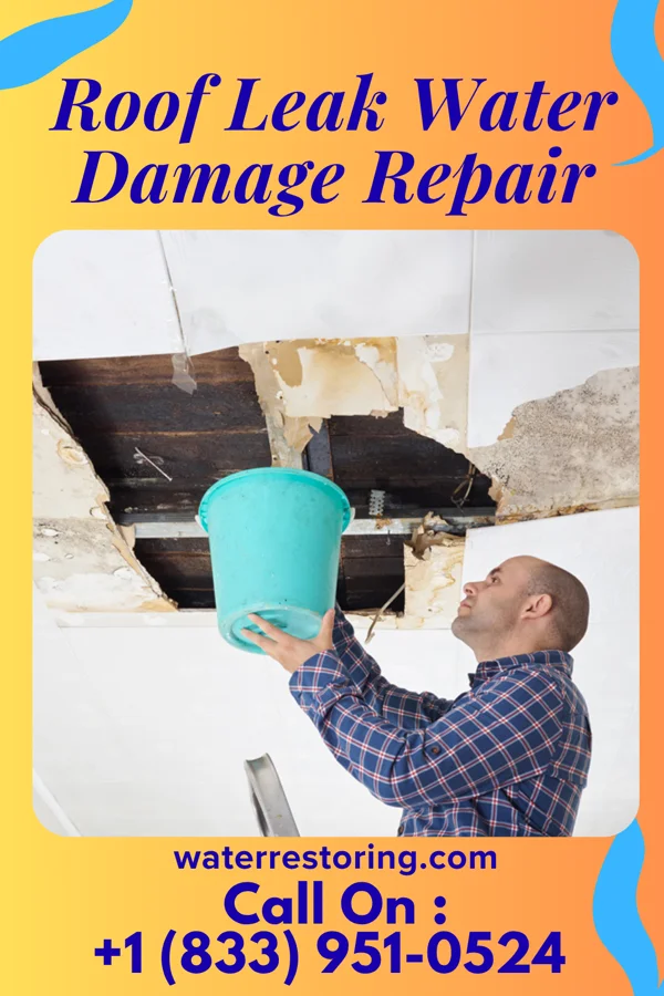Roof Leak Water Damage Repair in Greenfields, PA