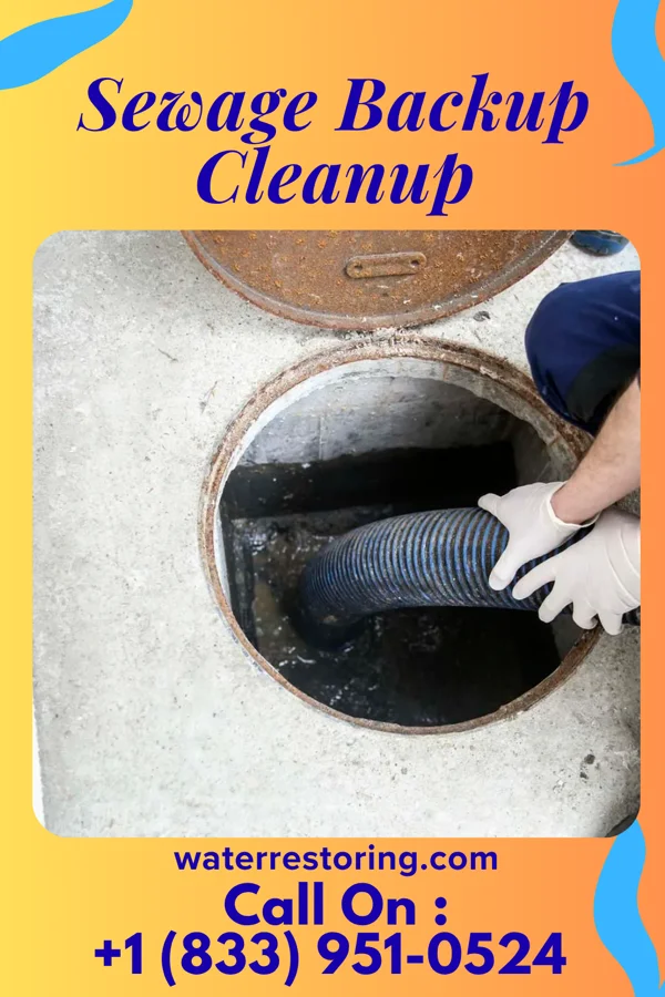Sewage Backup Cleanup in Greenfields, PA