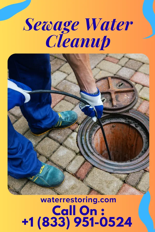 Sewage Water Cleanup in Greenfields, PA