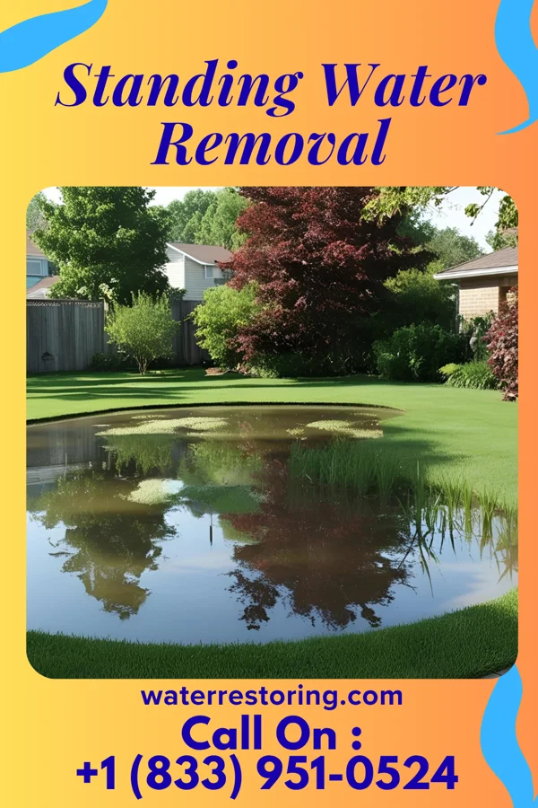 Standing Water Removal in Greenfields, PA